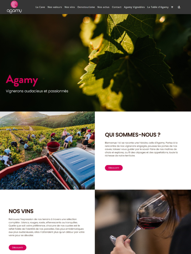 Création de sites vitrine en Auvergne Rhône-Alpes